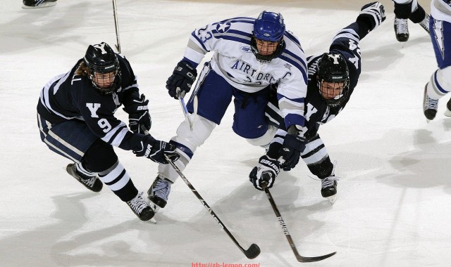 柠檬体育直播-用地紧张背景下的应对策略：世俱杯主办城市土地利用研究