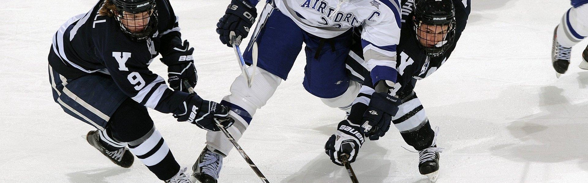 柠檬体育直播-室内健身器材实体门店装修布局与选品建议